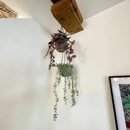 Maison La Provencale 6 Pers - Free Parking - Climatisation - Metro * טולוז