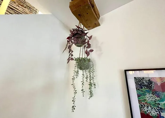 Maison La Provencale 6 Pers - Free Parking - Climatisation - Metro * Tolosa